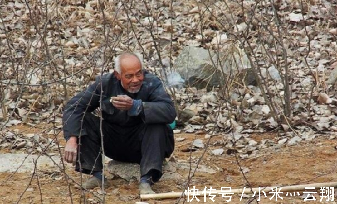 山林|老汉巡逻山林时肚子疼，找个角落方便，意外拉出两个“世界第一”