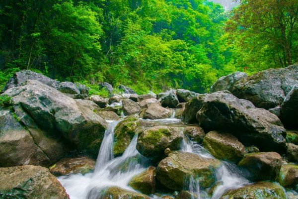 九真山|好消息！湖北新增武汉市九真山等8家4A景区和6家省级旅游度假区