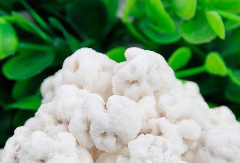 年龄|容易“暴露年龄”的几种糖果,全部都吃过的,孩子都要上学了吧