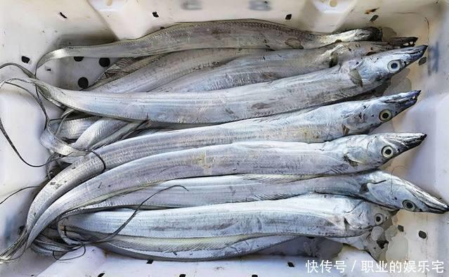 万不要错|买鱼时,看准这4种鱼,目前无法人工养殖,都是野生鱼,营养好吃