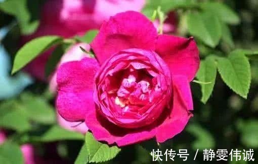 人工流产|22岁女孩确诊“乳腺癌”,医生说出病因,母亲痛哭都是男人害得