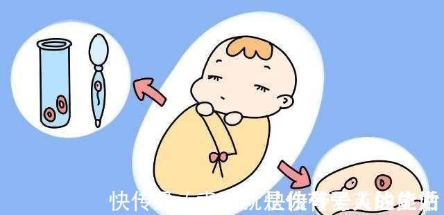 胎儿|为啥有些女性更容易怀双胞胎多半是这几点原因,提前了解一下