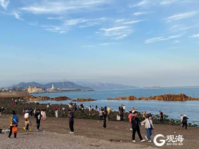 小麦岛|实拍：初夏小麦岛 繁花伴晚风