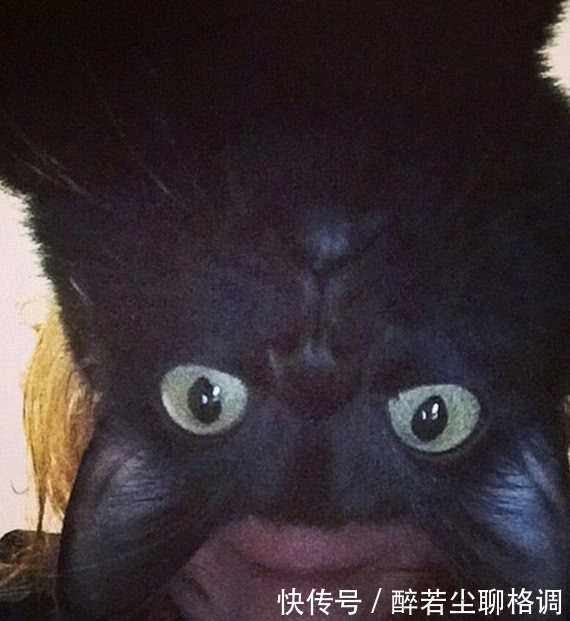 |搞笑GIF动图:阿姨,你是太开心了,假牙都掉了?