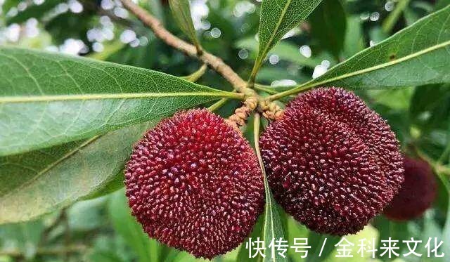 皱纹|女性不想满脸皱纹,可以多吃3种食物,美容养生,越吃越年轻!