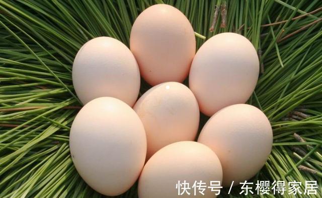 发霉蛋|立刻停止吃以下4种食物,用沸水都不管用,家里有的扔掉