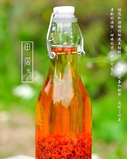 天气一热,鱼儿就不好钓?饵料中添加这些小“配料”,上鱼那叫快