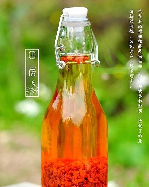 天气一热，鱼儿就不好钓？饵料中添加这些小“配料”，上鱼那叫快