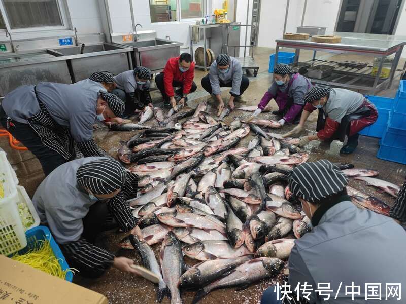 食堂|扬州大学捕捞2000斤大鱼送给学生免费吃