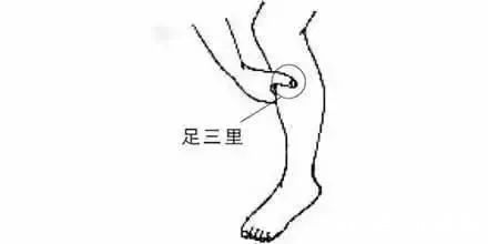 证型|脾不好的人腿上有个“坑”！补脾别再千篇一律，认错证型很吃亏