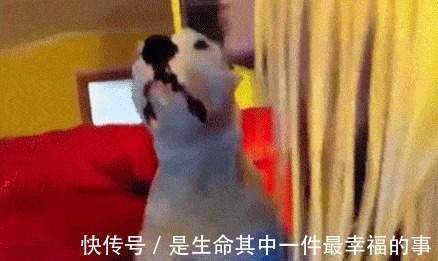 |搞笑GIF段子:妹子,以后敷面膜还是长点心吧,看把娃给吓得