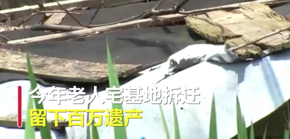 拆迁|好心有好报！老人去世留百万遗产，一半都给了邻居！