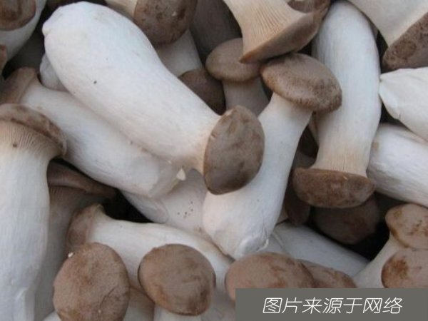 美容养颜|女人多吃四种食物,美容养颜,滋润品皮肤抗衰老,聪明女人都知道