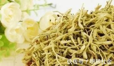 清热|蒲公英和它是“黄金搭档”,常泡水喝,清热消暑,养肝排毒