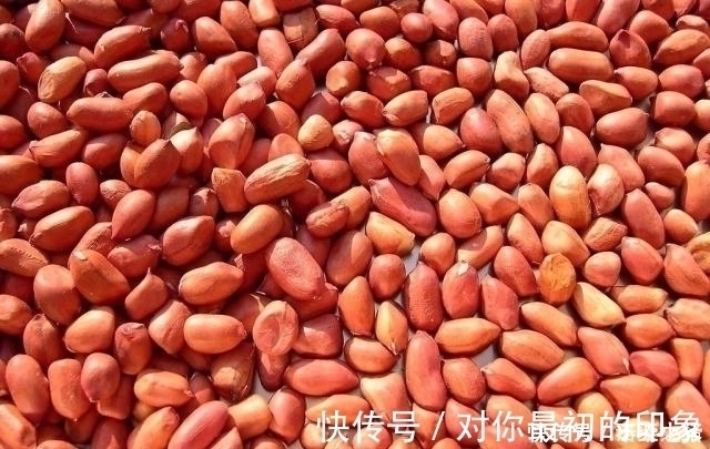营养物质|花生煮熟吃和生着吃,哪种更有营养,爱吃花生的人,可别吃错了