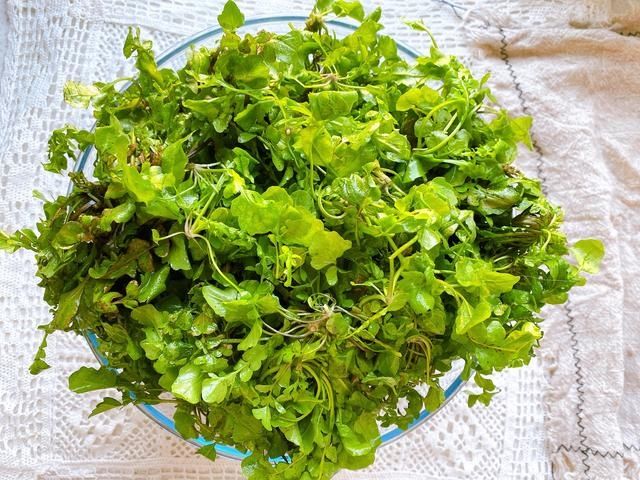 集市上遇到这菜千万别手软，一年只有3个月，营养丰富，脆嫩可口