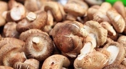 良心菜贩透露:买香菇时,看到“3种”扭头就走,我们自己都不吃