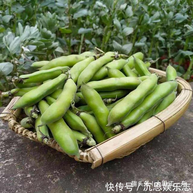 储存蚕豆时别只会焯水，多加一步，蚕豆不干不硬，色泽鲜亮