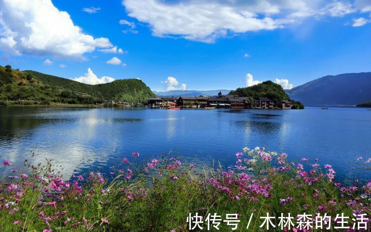 慢性胃炎|一位老中医告诉我：这些中成药可以应对日常症状...