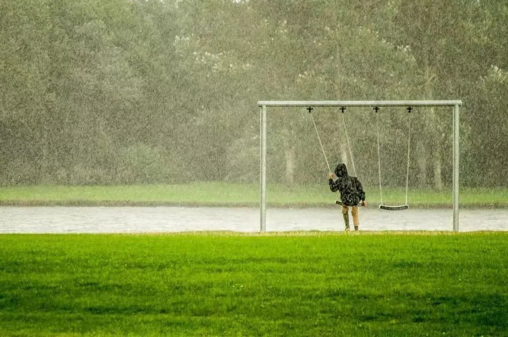 临安春雨初霁|今日雨水｜雨水无声润万物 人间安暖又逢春