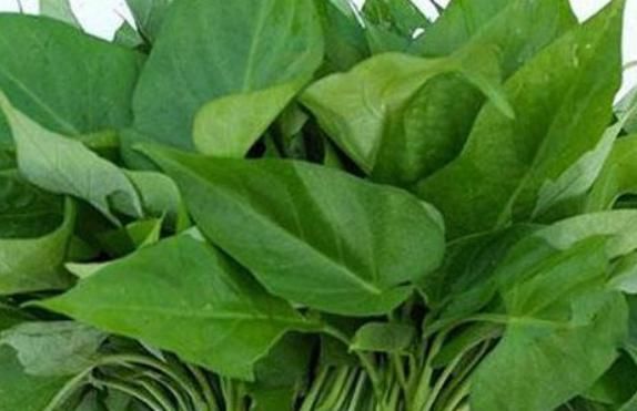 此蔬菜汤很多人没喝过,防癌,降三高,且零成本还不花钱