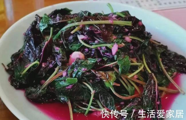 核桃仁|三伏天,2大“长寿菜”要常买!补钙、排毒、防大病,远离三高!