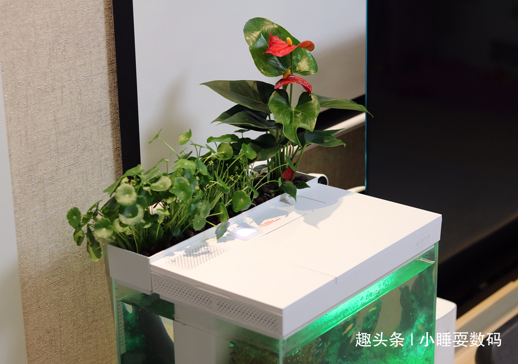 哪种鱼缸更适合养鱼画法几何AI智能鱼缸，水质监测还能自动喂食