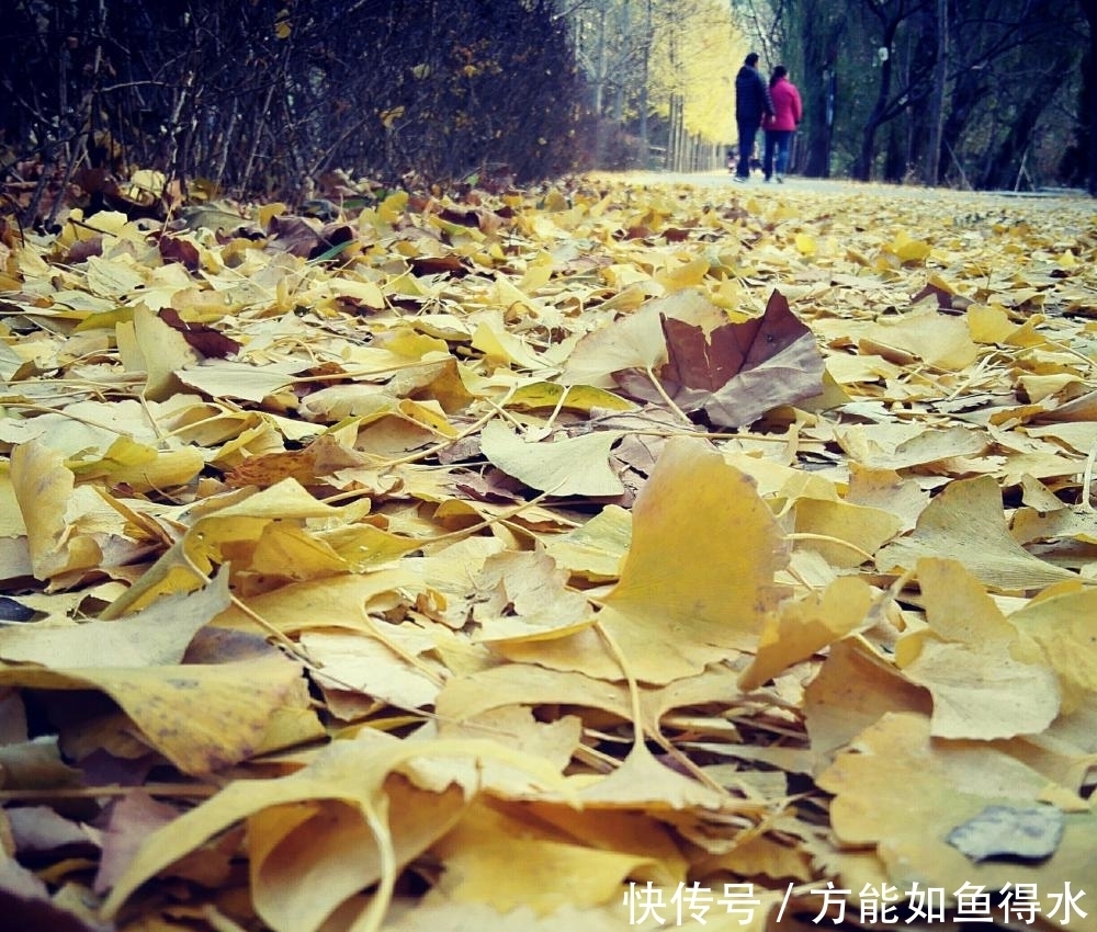 实拍北京最大的湿地，曾是五朝皇家猎场，燕京十景之一