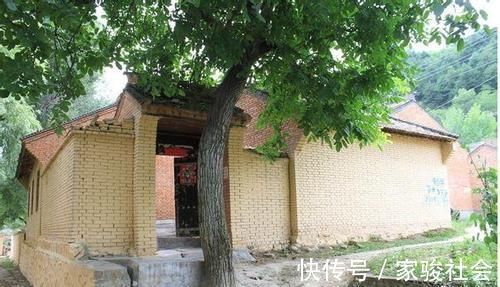 家门|家门前别乱种树,这3种树镇宅又养人,很多人都忽视了