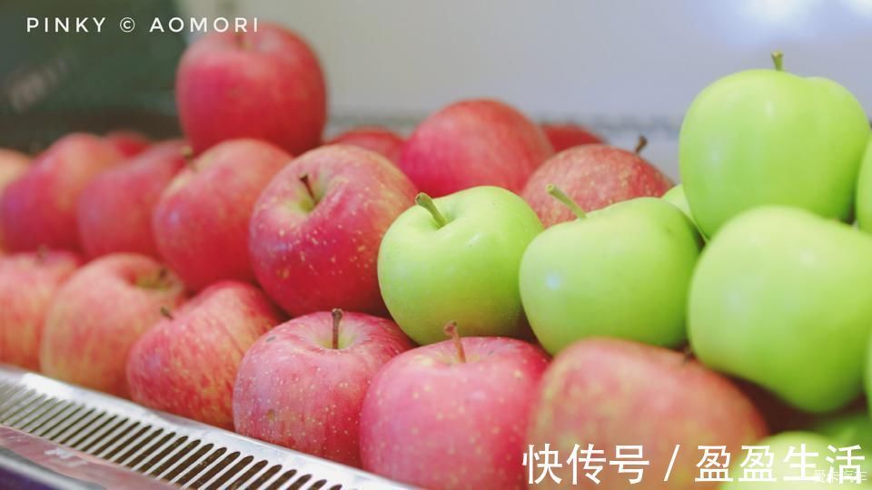 青森|日本青森夏日祭--神秘而热闹的睡魔祭