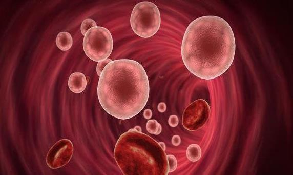 按钮|肿瘤竟能关闭免疫细胞活力按钮,治疗肿瘤方法在哪,你找到没?