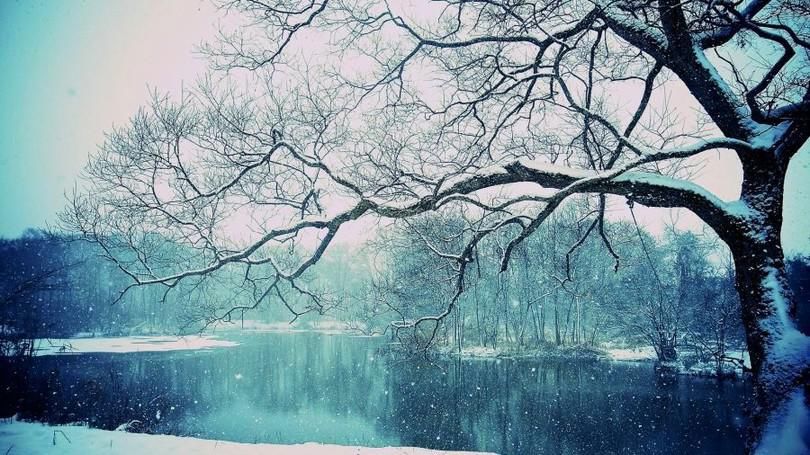 轻雪漫舞，浅冬安暖，自在随喜