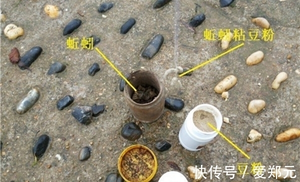 冬季用蚯蚓钓鲫鱼,别直接挂钩,做这两个步骤,上鱼快咬钩猛!