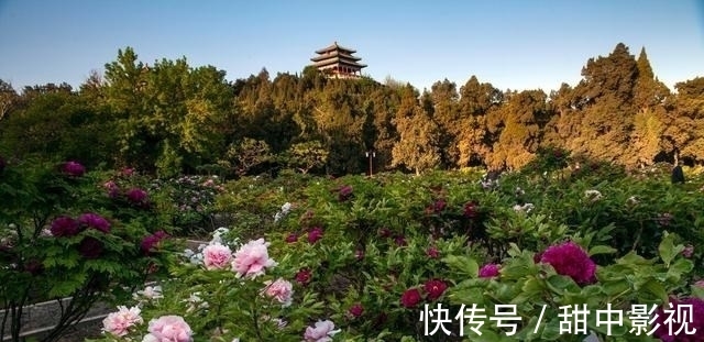 万春亭|藏在北京的“宝藏”公园，门票2元却能观首都全景，地铁直达