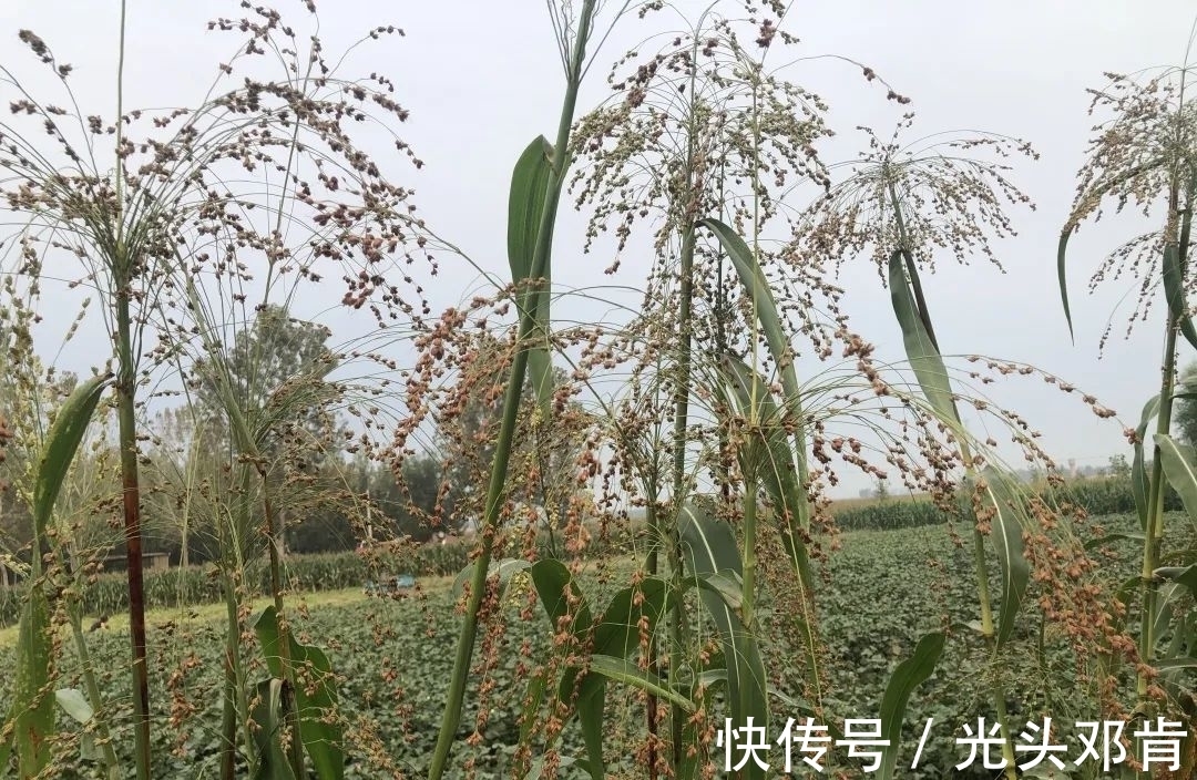 写生!著名画家王克举秋日大同浑源写生,描绘“心中的风景”