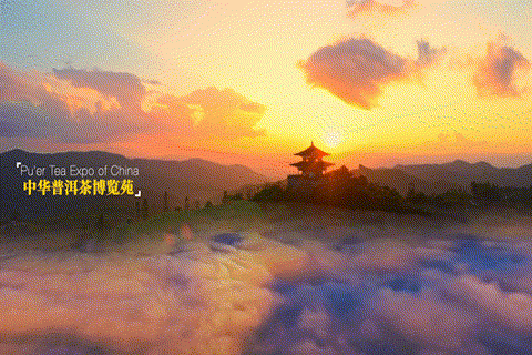 普洱市 普洱:“象”见恨晚的地方