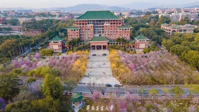 好家伙，这是什么偶像剧大学啊……