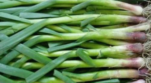 感染性疾病|秋季不补会后悔，抓住时机滋补常吃三种食物，口感丰富营养足