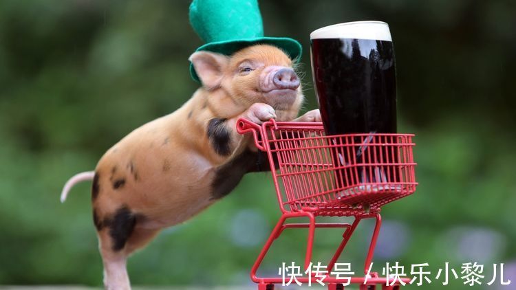 属鼠|属鼠人跟啥生肖有缘有份,能做真爱夫妻?婚后家庭安康,旺夫十足