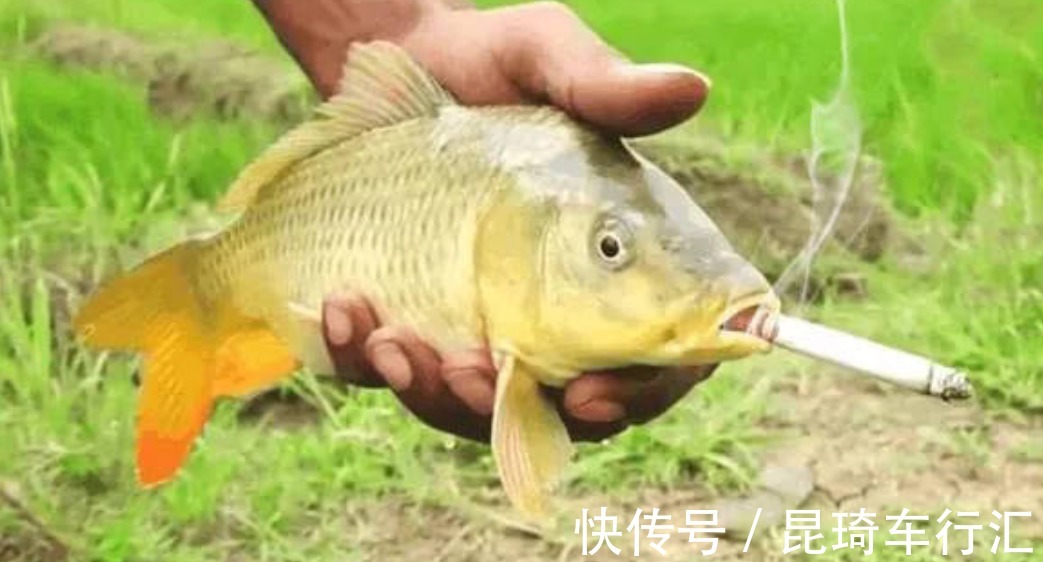 谁说钓鱼没有玄学,这几个邪门规律,只要是个钓鱼人,就都经历过