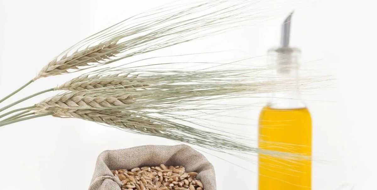 优质蛋白|想要提高怀孕的机率？多吃这几种食物准没错！