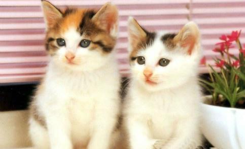 |8个让你笑到肚子疼的段子奉上!