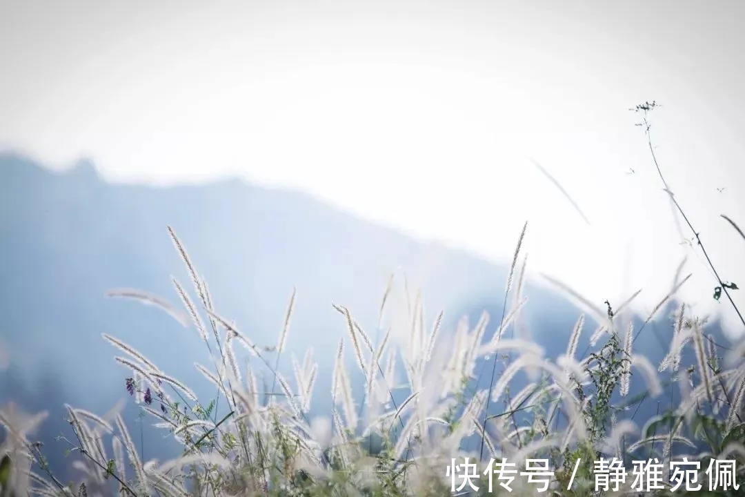 离思|这首诗被誉为“千古第一情诗”,把深情写到了极致,令人感慨万千