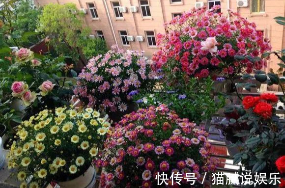 这9种花园,随便1个都美上天了,有一种这辈子就满足了!