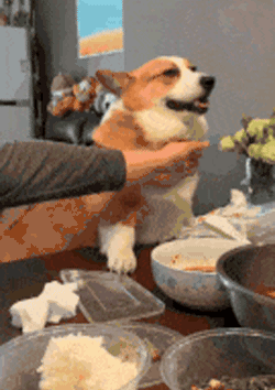 |搞笑动图:小兄弟:不要悲伤,人生的路还很长啊!