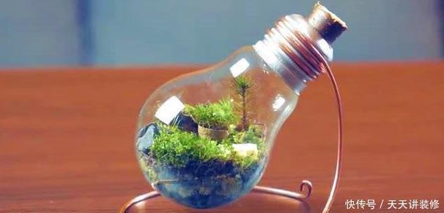 红砖、青瓦、烂木头，一定要拿来养花，一个比一个有韵味