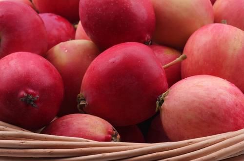 海棠果|秋天常给孩子吃以下食物，健脑益智，补充钙质，个头嗖嗖长