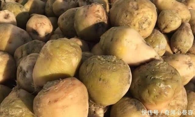 东北五大重口味菜，没吃过别说是东北人，东北人贼带劲