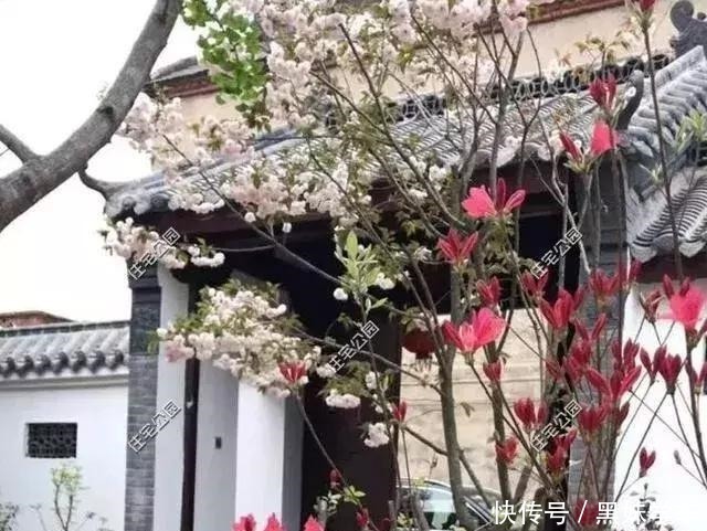 中式合院|9套经典案例告诉你,为什么农村盖房,中式合院会如此受欢迎!