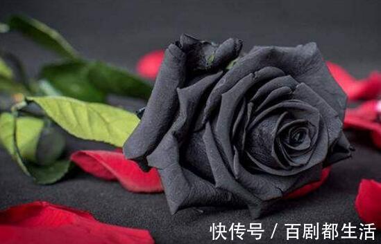 盘点十种招鬼的花,家里有这些花赶紧扔掉